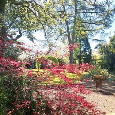 Foto - 7 Zimmer Einfamilienhaus in Neukirchen-Vluyn