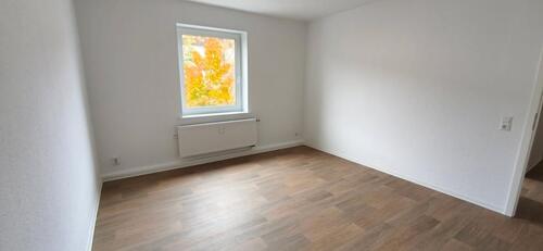 Foto - Frisch sanierte 2 Raum Wohnung auf dem Görden