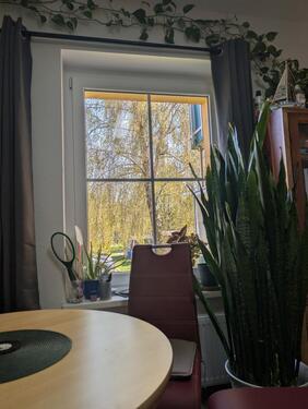 Foto - 2 Zimmer Erdgeschoßwohnung in Stralsund