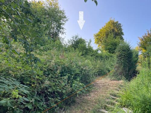 Foto - Grundstück in Plüderhausen zur Miete