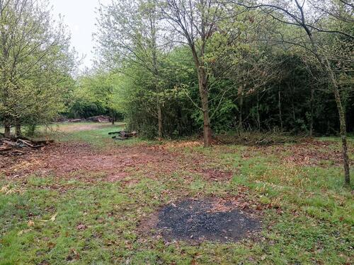 Foto - andere in Guldental zur Miete