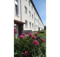 1-Raum Wohnung Stadtfeld West ab 01.02.2026 - Magdeburg Diesdorf