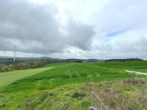 Foto - 4 Zimmer Etagenwohnung in Mayen