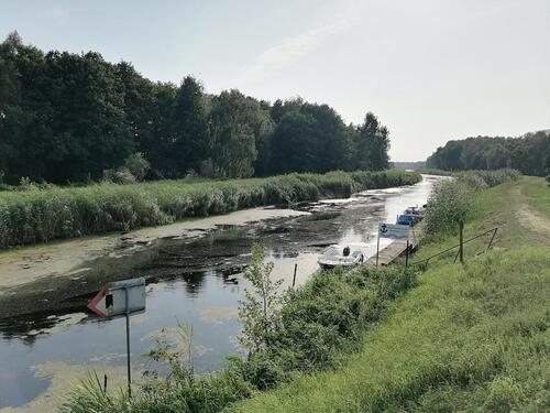 Foto - 4 Zimmer Einfamilienhaus zur Miete in Liepgarten