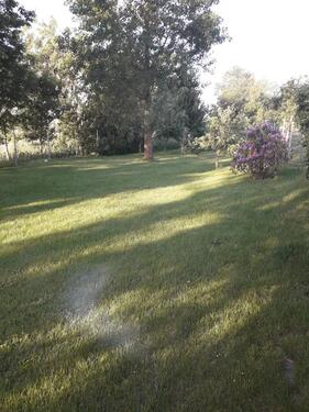 Foto - 6 Zimmer Einfamilienhaus in Upgant-Schott