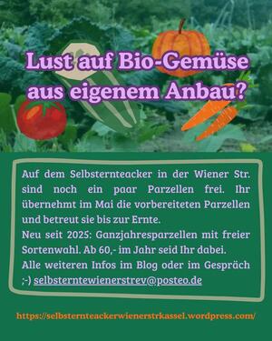 Foto - Start in die Wintergarten-Saison