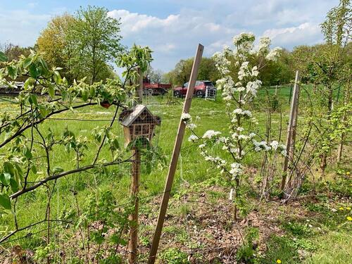 Foto - Großer Garten mit Plesseblick - 100,00&nbsp;EUR Kaltmiete, ca.&nbsp; 0,00&nbsp;m&sup2;