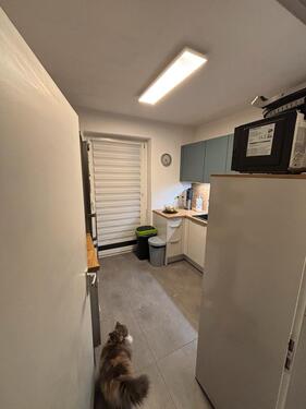 Foto - Hochparterre in Magdeburg zur Miete