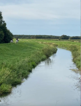 Foto - ***Selbstversorger, Ruhe, Natur, Haus in DK, Grenznah***