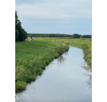 ***Selbstversorger, Ruhe, Natur, Haus in DK, Grenznah*** - Süderlügum