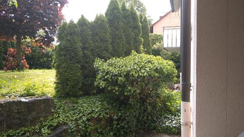 Foto - 
