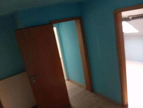 Foto - Haus mit Garten *PROVISIONSFREI*