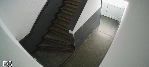 Foto - Einfamilienhaus in Duisburg zum Kaufen