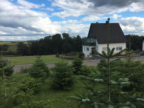 Foto - Bungalow in Jünkerath zum Kaufen
