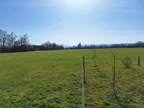 Foto - Grundst&uuml;ck zur Miete in Bruckmühl
