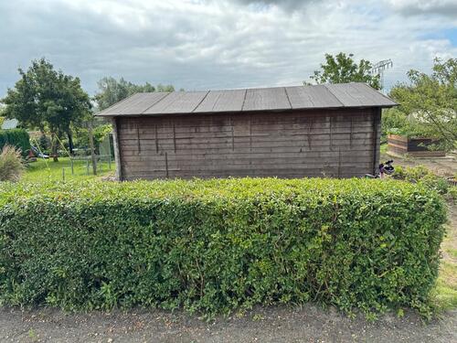Foto - Garten SCHNÄPPCHEN - 500,00 EUR Kaltmiete, ca.  0,00 m²