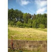 Freizeitstückle, Baumwiese in FichtenbergKreis SHA zu verpachten