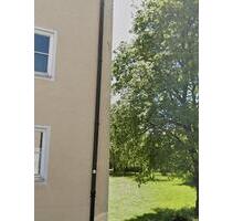 Ein befristet zimmer in 2 Zimmer Wohnung - München Pasing-Obermenzing