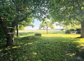 Foto - Einfamilienhaus zum Kaufen in Laer