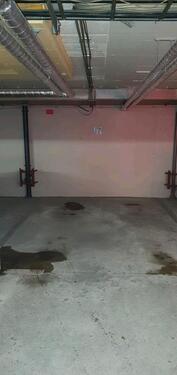 Foto - andere in Meckenheim