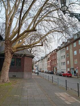 Foto - 13 Zimmer Einfamilienhaus zum Kaufen in Düsseldorf