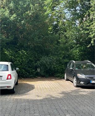 Foto - Stellplatz - 70,00 EUR Miete,