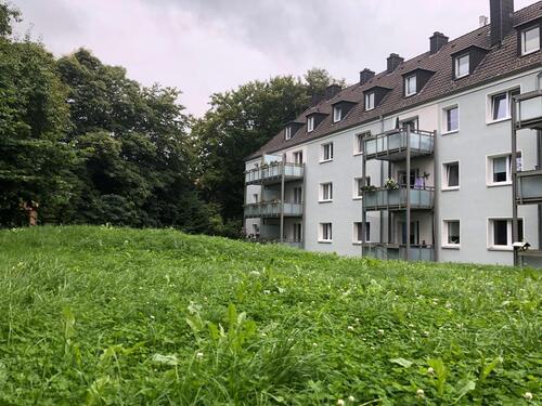 Foto - 2 Zimmer Etagenwohnung zur Miete in Hagen