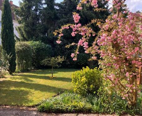 Foto - 6 Zimmer Einfamilienhaus zum Kaufen in Bielefeld