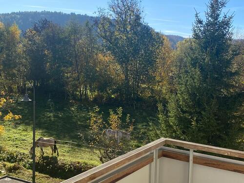 Foto - Etagenwohnung in Hardegsen zur Miete