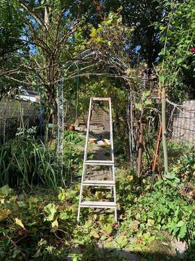 Foto - 4 Zimmer Reihenhaus zum Kaufen in Eschweiler