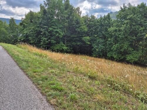 Foto - Wiesengrundstück mit Straßenanbindung 97901 Altenbuch