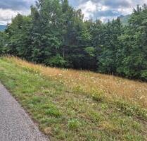 Wiesengrundstück mit Straßenanbindung 97901 Altenbuch