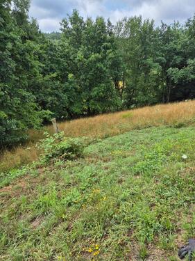 Foto - Grundst&uuml;ck zur Miete in Altenbuch