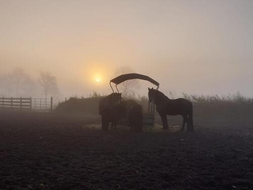 Foto - Charmanter Resthof mit 7,5 ha Land