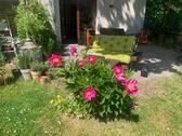 Foto - Gepflegte Eigentumswohnung 1,5 Zi. EG, Garten, EBK, Bad Godesberg