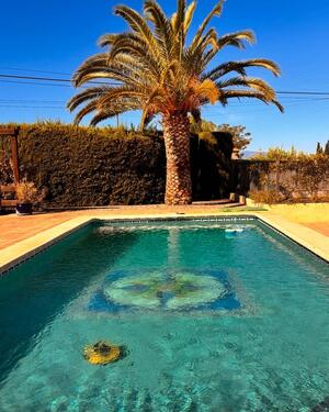 Foto - andere in Bockenem