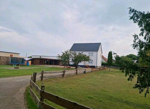 Foto - Einfamilienhaus zum Kaufen in Neustrelitz