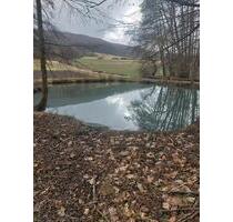 Freizeitgrundstück Teichanlage - 13,00&nbsp;EUR Kaltmiete, ca.&nbsp; 0,00&nbsp;m&sup2; in Scheßlitz (PLZ: 96110)