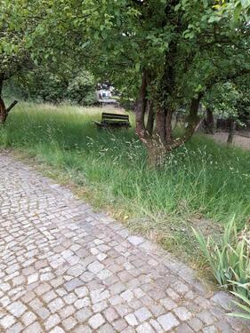 Foto - Einfamilienhaus in Sohland an der Spree zum Kaufen