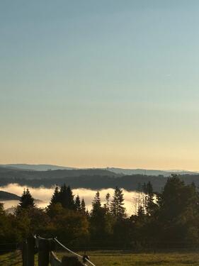 Foto - 2 Zimmer Wohnung inkl. Einbauküche auf dem Land