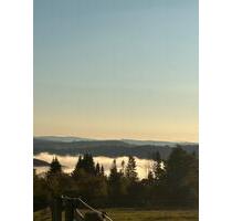 2 Zimmer Wohnung inkl. Einbauküche auf dem Land - Lüdenscheid Brügge