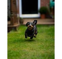 Ohne Eigenkapital möglich. Mietkaufimmobilie abzugeben. - Hasbergen