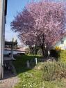 Foto - Einfamilienhaus in Neckarsulm zum Kaufen