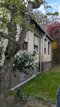 Foto - 7 Zimmer Einfamilienhaus in Helmstedt