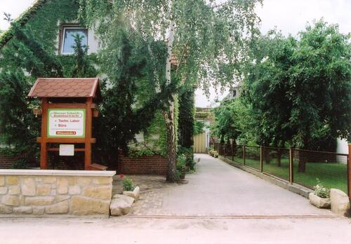 Foto - Büro-Praxisraum in Lutherstadt Wittenberg