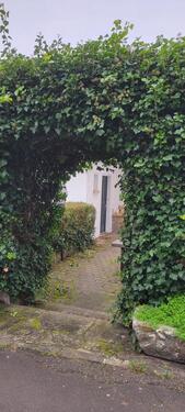 Foto - andere in Lauterecken