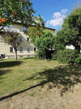 Foto - 3 Zimmer Erdgeschoßwohnung zur Miete in Helmstedt