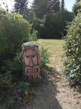 Foto - 3 Zimmer Erdgeschoßwohnung in Helmstedt