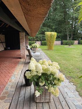 Foto - 6 Zimmer Einfamilienhaus zum Kaufen in Kellinghusen