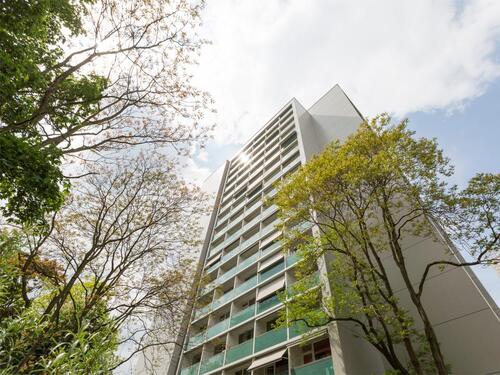 Foto - 2 Zimmer Etagenwohnung zur Miete in Dresden